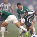 Botafogo cria, mas é derrotado pelo Palmeiras no Nilton Santos